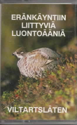 Er&auml;nk&auml;yntiin liittyvi&auml; luonto&auml;&auml;ni&auml; C-kas